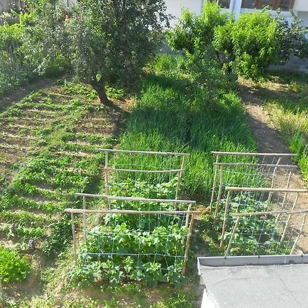 Отель Varnata Family Варвара
