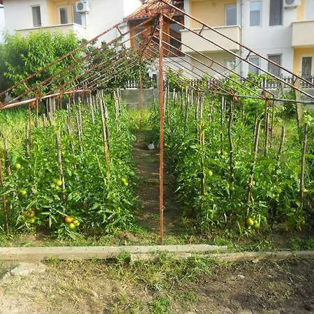 Отель Varnata Family